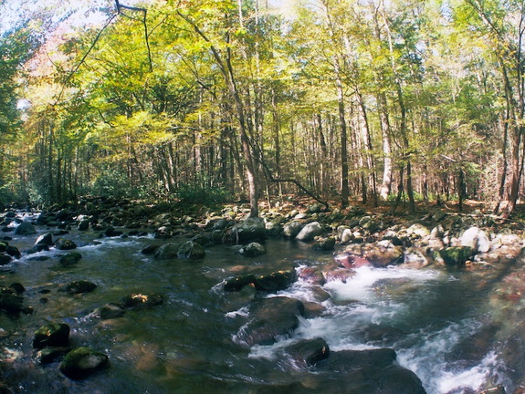 Middle Prong Little Pigeon River